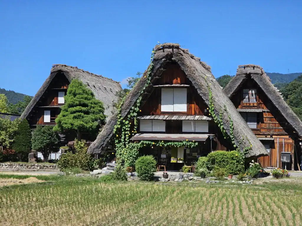 Uitgelichte afbeelding bij Shirakawa en Kanazawa: van UNESCO-dorp tot Japanse sakebar