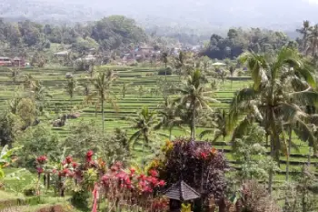 Indonesië